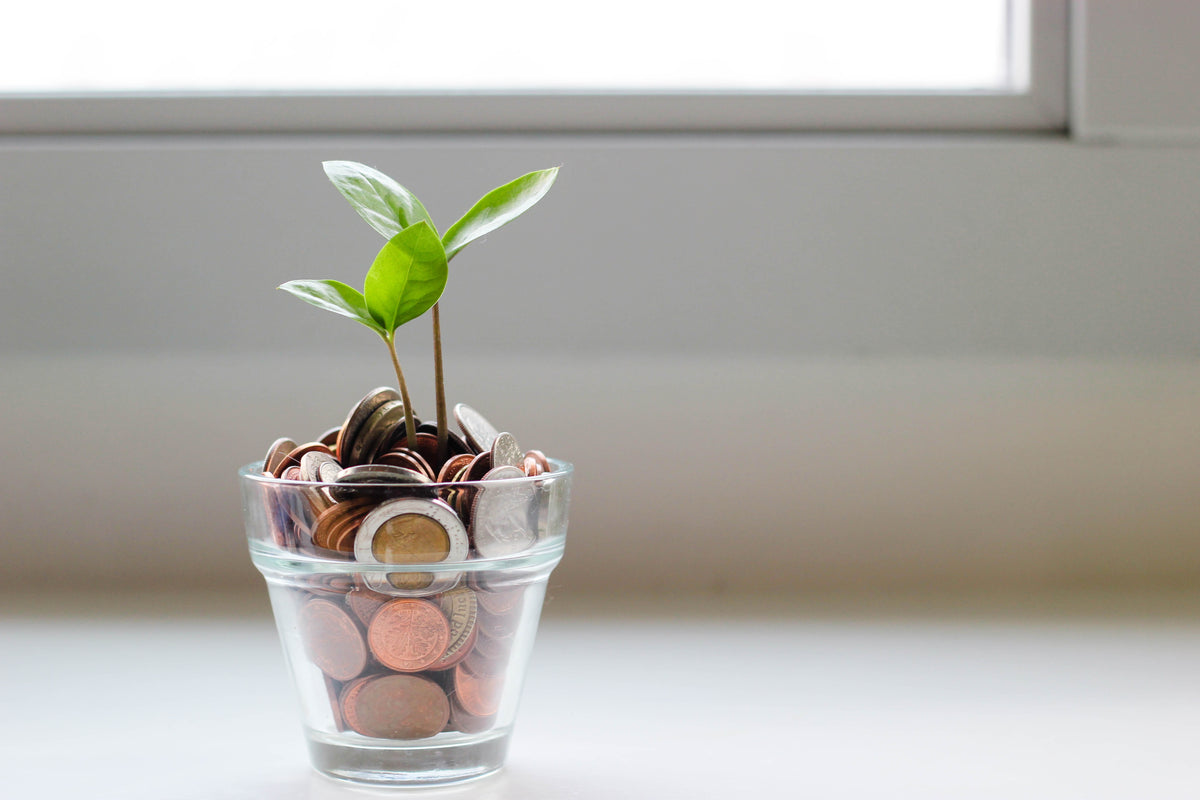The Essential Guide to Getting the Grant
